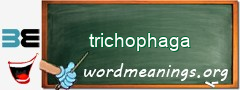 WordMeaning blackboard for trichophaga